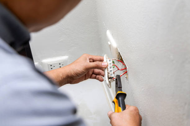 Best Electrical Upgrades for Homes  in Pisgah, AL