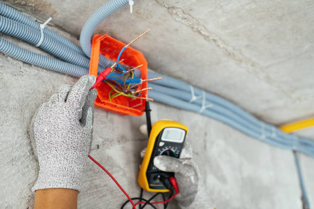 Best Electrical System Inspection  in Pisgah, AL